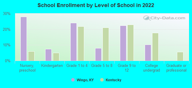 School Enrollment by Level of School in 2022