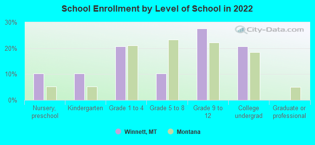 School Enrollment by Level of School in 2022