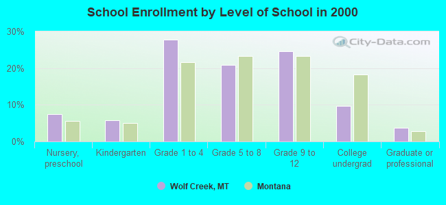 School Enrollment by Level of School in 2000