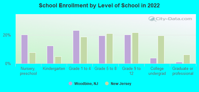 School Enrollment by Level of School in 2022