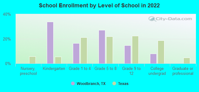 School Enrollment by Level of School in 2022