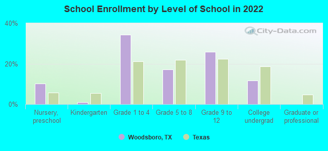 School Enrollment by Level of School in 2022