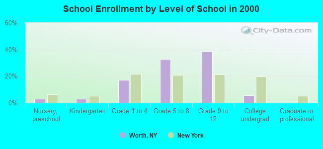 School Enrollment by Level of School in 2000