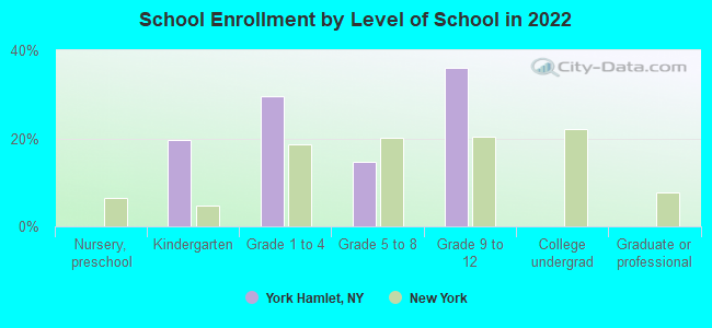 School Enrollment by Level of School in 2022