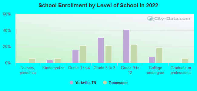 School Enrollment by Level of School in 2022