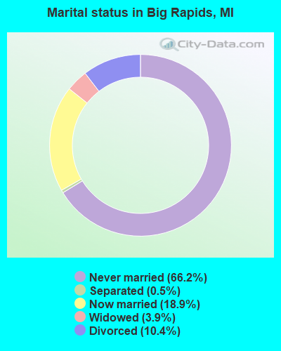 Marital status in Big Rapids, MI