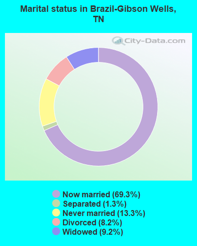 Marital status in Brazil-Gibson Wells, TN