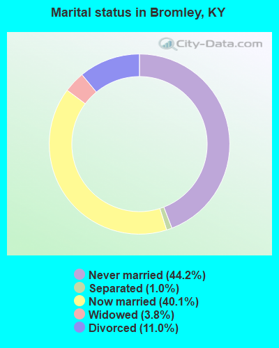 Marital status in Bromley, KY