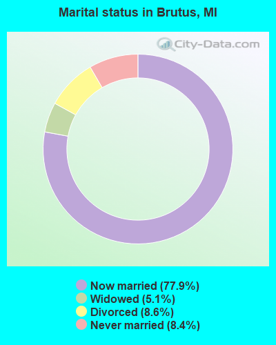 Marital status in Brutus, MI