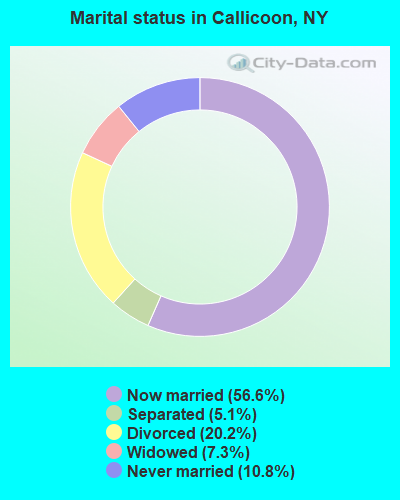 Marital status in Callicoon, NY