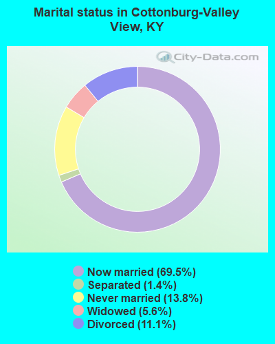 Marital status in Cottonburg-Valley View, KY