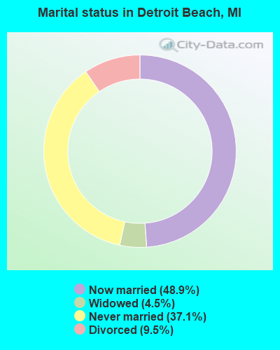 Marital status in Detroit Beach, MI