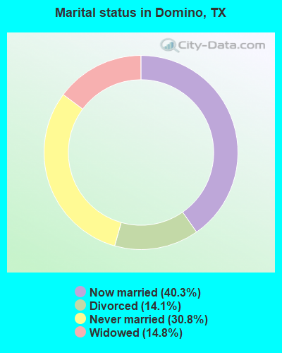 Marital status in Domino, TX