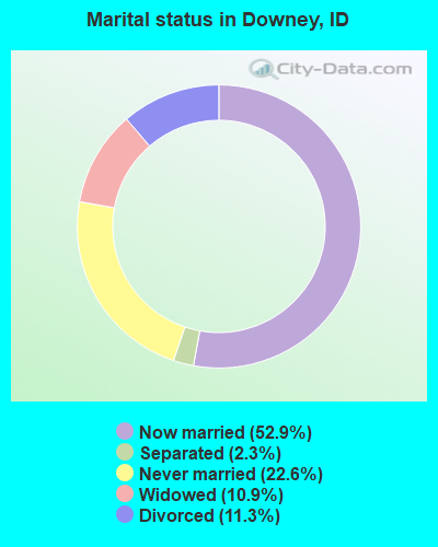 Marital status in Downey, ID