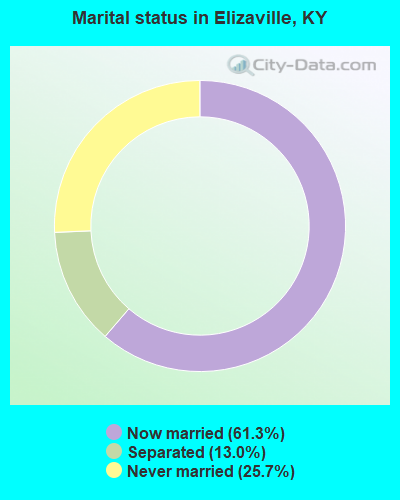 Marital status in Elizaville, KY