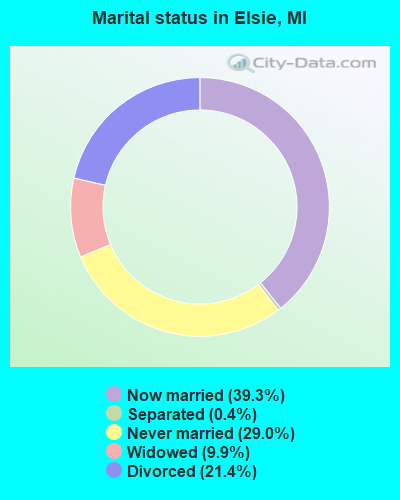 Marital status in Elsie, MI