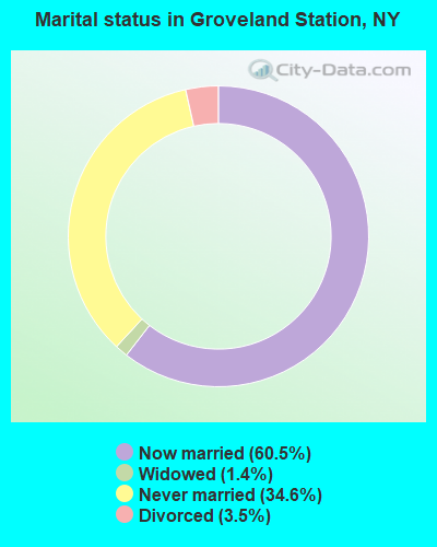 Marital status in Groveland Station, NY