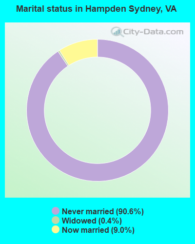 Marital status in Hampden Sydney, VA