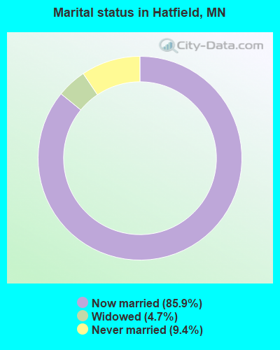 Marital status in Hatfield, MN