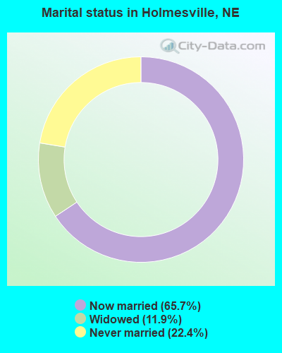 Marital status in Holmesville, NE