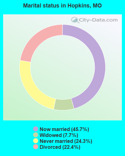 Marital status in Hopkins, MO