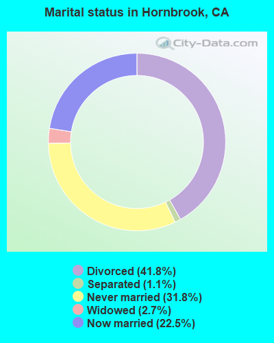 Marital status in Hornbrook, CA