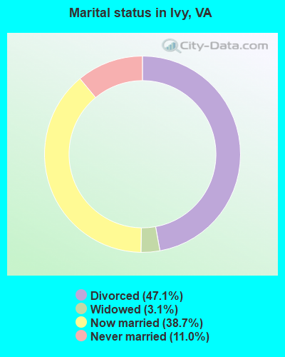 Marital status in Ivy, VA