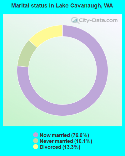 Marital status in Lake Cavanaugh, WA