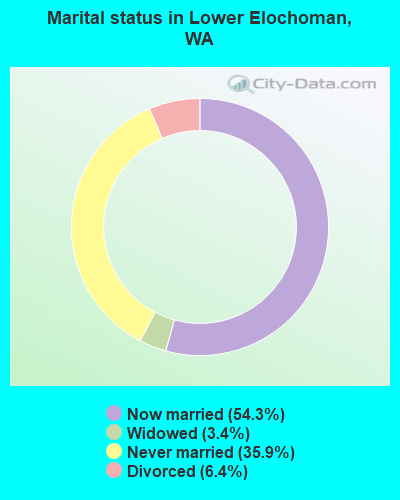 Marital status in Lower Elochoman, WA