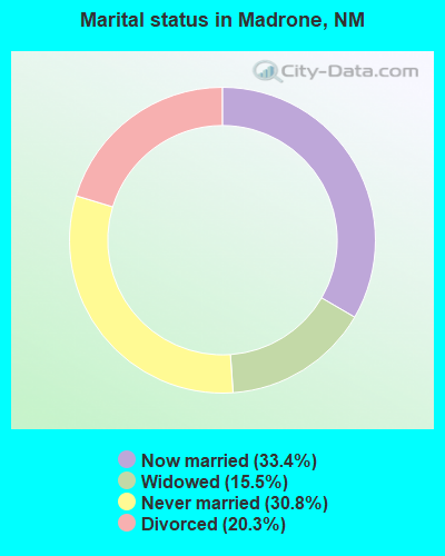 Marital status in Madrone, NM