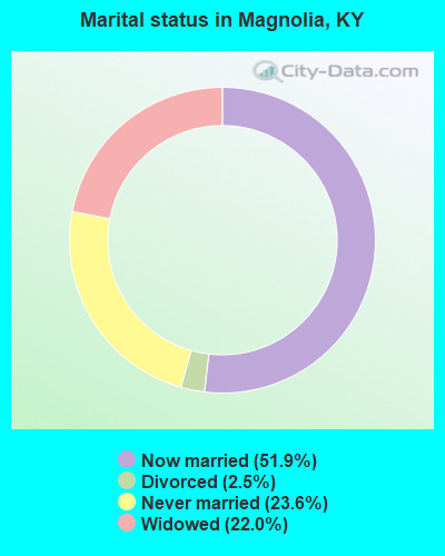 Marital status in Magnolia, KY