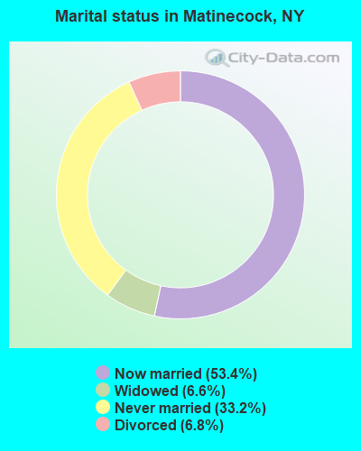 Marital status in Matinecock, NY