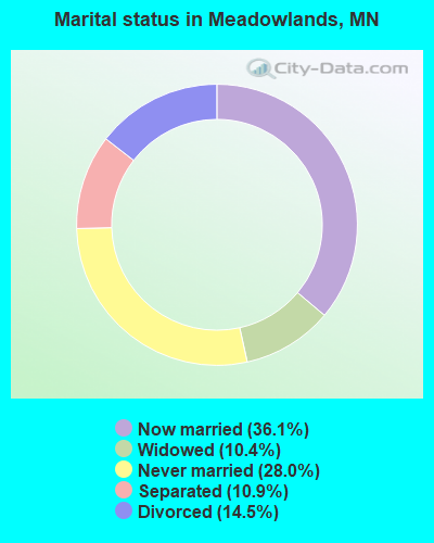 Marital status in Meadowlands, MN