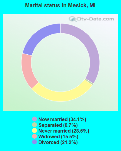 Marital status in Mesick, MI