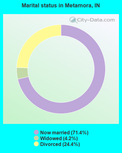 Marital status in Metamora, IN
