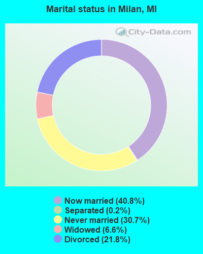 Marital status in Milan, MI