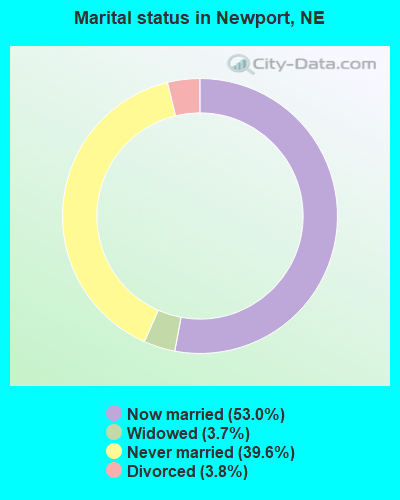 Marital status in Newport, NE