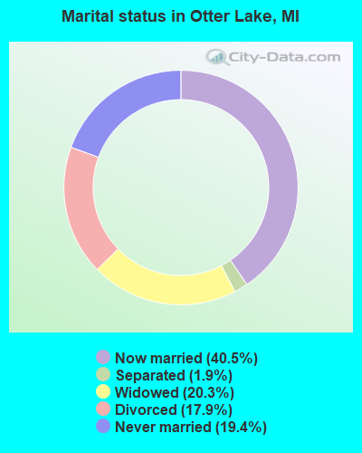 Marital status in Otter Lake, MI