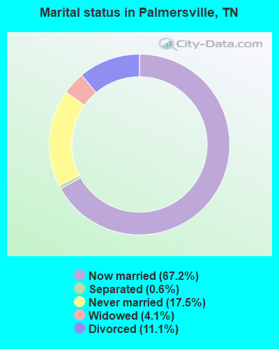 Marital status in Palmersville, TN