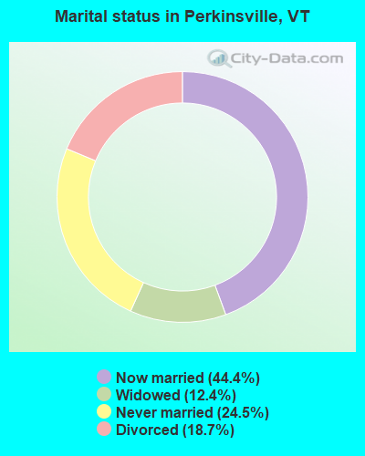 Marital status in Perkinsville, VT