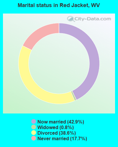 Marital status in Red Jacket, WV