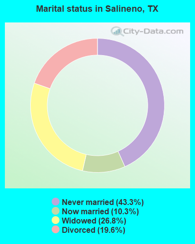 Marital status in Salineno, TX