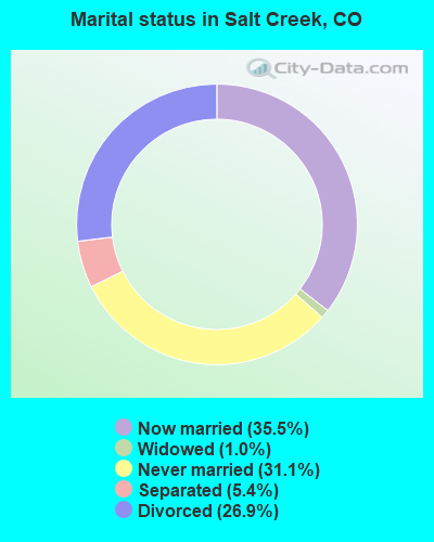 Marital status in Salt Creek, CO