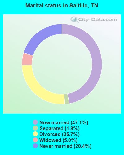 Marital status in Saltillo, TN