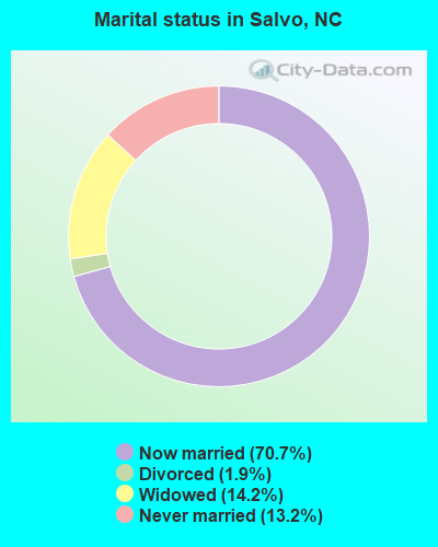 Marital status in Salvo, NC