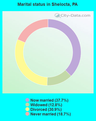 Marital status in Shelocta, PA