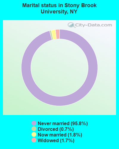 Marital status in Stony Brook University, NY