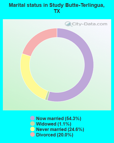 Marital status in Study Butte-Terlingua, TX