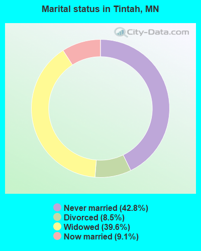 Marital status in Tintah, MN