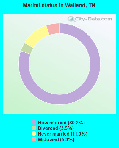 Marital status in Walland, TN